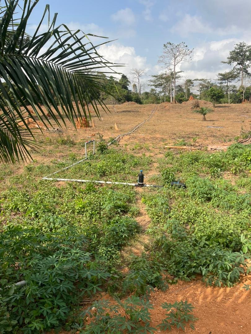 WhatsApp Image 2026-02-06 at 11.03.54 (3)