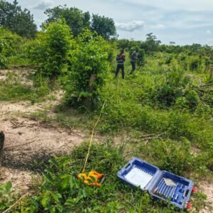 WhatsApp Image 2026-02-06 at 11.04.19