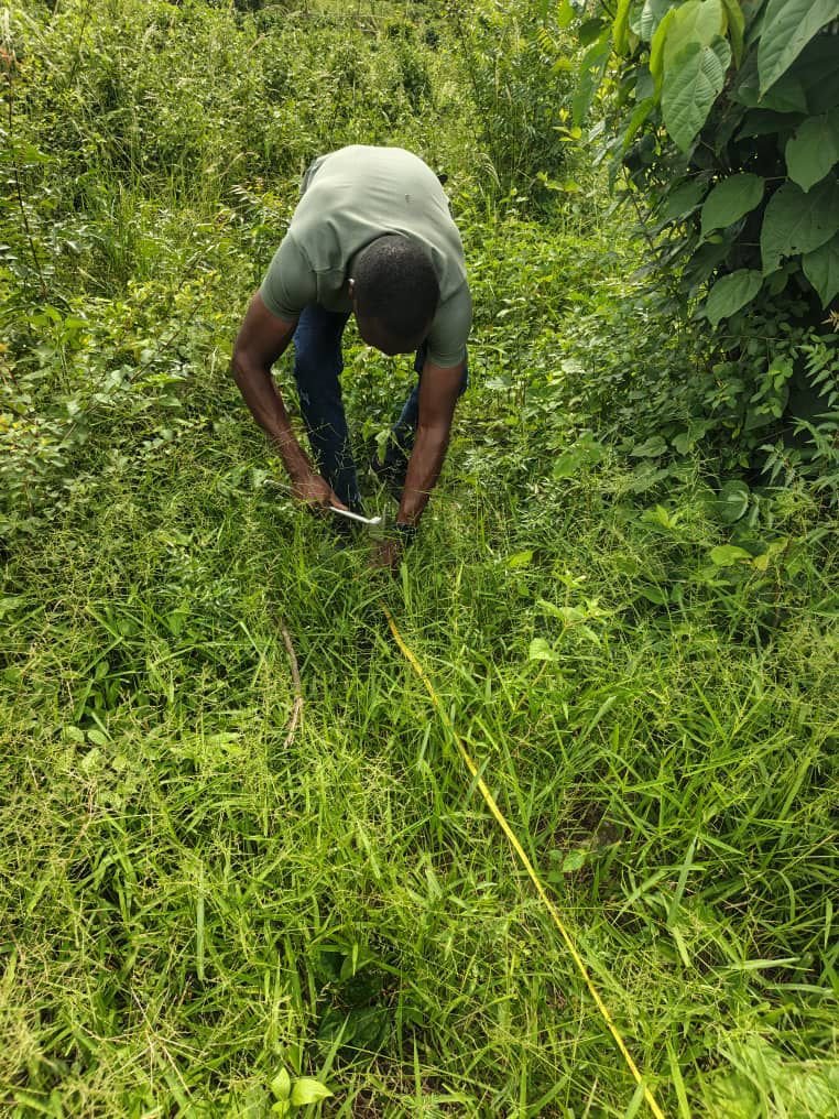 WhatsApp Image 2026-02-06 at 11.04.20 (1)