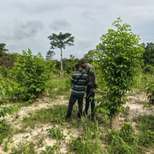 WhatsApp Image 2026-02-06 at 11.04.20 (2)